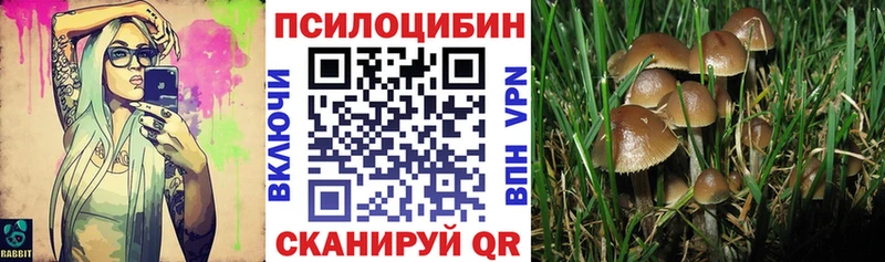 Псилоцибиновые грибы Psilocybe  Данков 